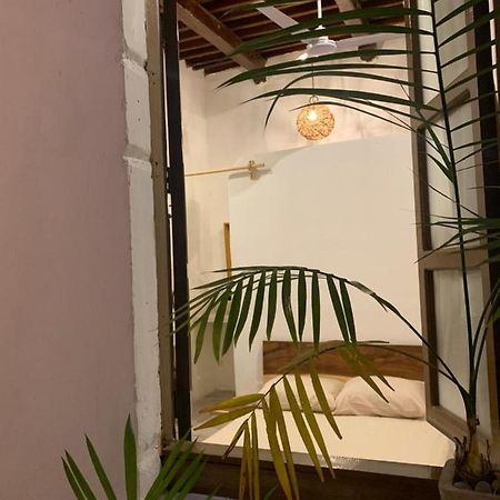 Casa Mediterranea Campeche Eksteriør billede